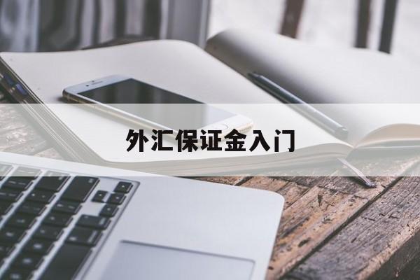 外汇保证金入门(外汇保证金交易是否合法知乎)